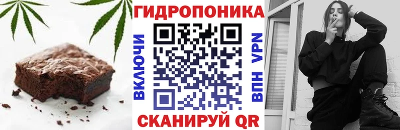 Купить закладки  Суровикино  Canna-Cookies конопля 