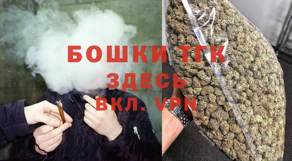 меф Арсеньев