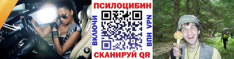 Купить закладки  Суровикино  Галлюциногенные грибы GOLDEN TEACHER 